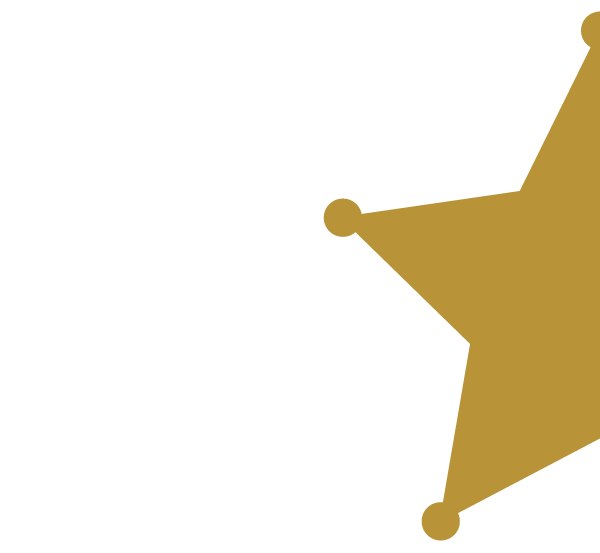 Star Badge
